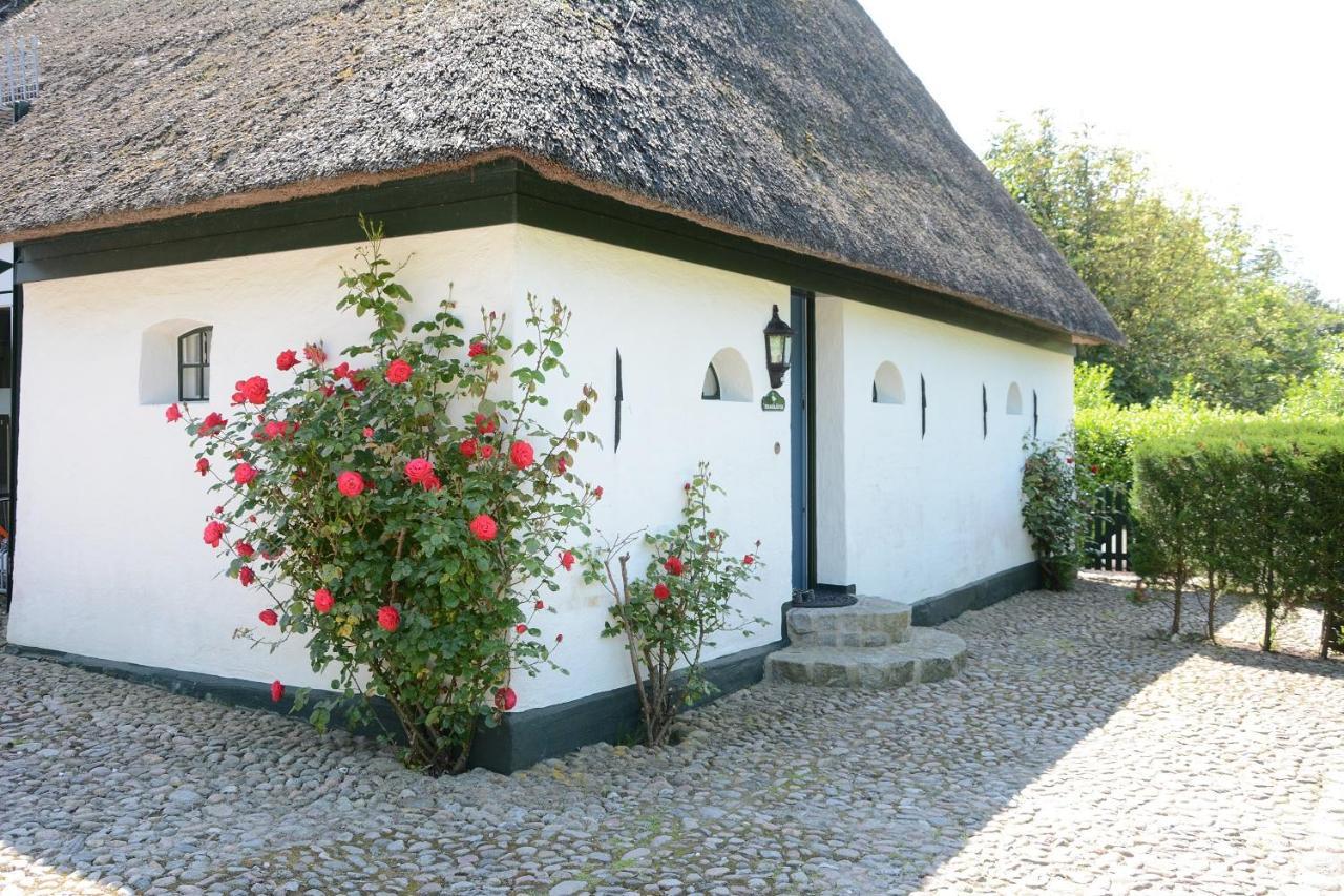 Foehrienhaus Villa Midlum  Dış mekan fotoğraf
